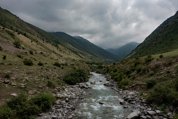 Mountain river and forest in summer Kyrgyzstan