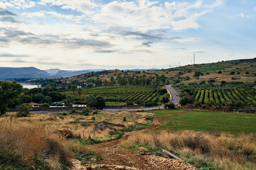 Fototapeta na wymiar landscape of Galilee