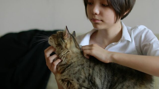 Love and affection for cats.