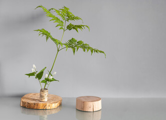 Tree slice or podium and flowers. Product display on a gray background. Mockup for product...