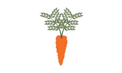 carrot vector iconcarrot icon isolated on white background.