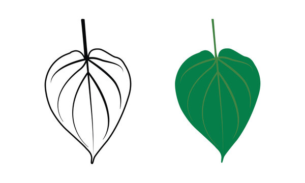 Betel leaf line artwork vector shape