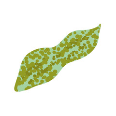 Tropical Plant Euglena Composition