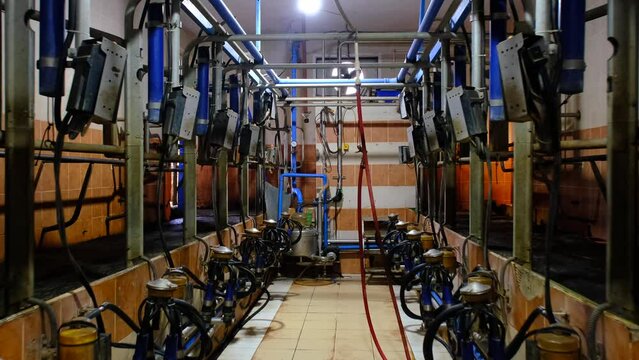 Images of milking parlor equipment used in cow milking