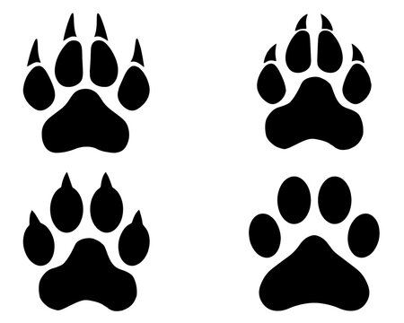 Set of Panther Paw Silhouette, Wild Life, Animal Paw