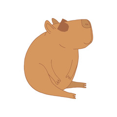 capybara in sunglasses. animal hand drawn in doodle cartoon style.