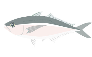Obraz premium 鯵（アジ）のイラスト