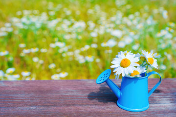 Charming Daisy Bouquet in a Miniature Blue Watering Can