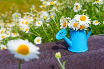 Daisy Bouquet Nestled in a Miniature Watering Can
