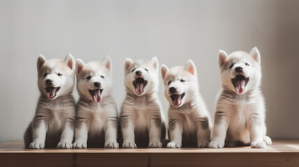 Cute excited Siberian Husky puppies on a minimalistic background. Generative AI