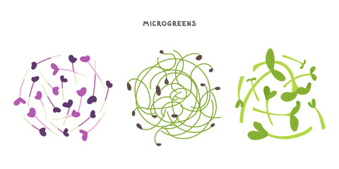 Set of fresh micro greens, onion, basil