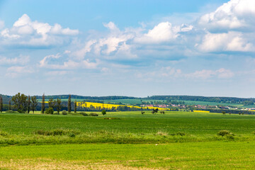 Summer landscape, with fields and blue sky. European countryside.