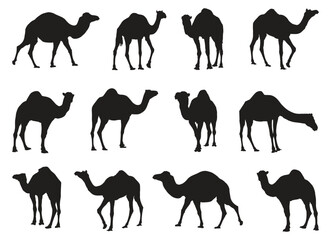 Collection of camels silhouettes set vector illustration