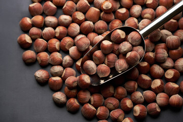 Whole hazelnuts nuts with shell close-up studio shot