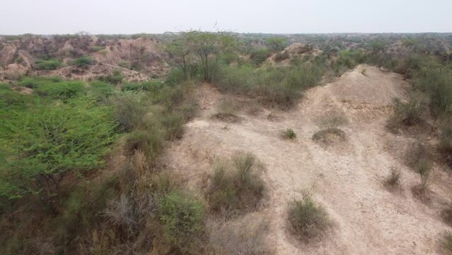 Drone shot revealing unique gully erosions of the iconic badlands of Chambal ravines next to the national highway in Morena Rajasthan Madhya Pradesh border used by dacoits to flee, India