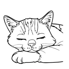 Hand drawn black vector illustration a portrait of a beautiful fun adult young cat is sleeping on a white background