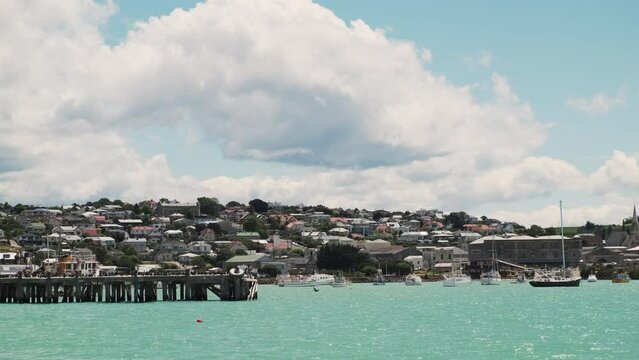Vista of a coastal Oamaru New Zealand, bathed in sunshine, with its charming houses, vibrant waterfront