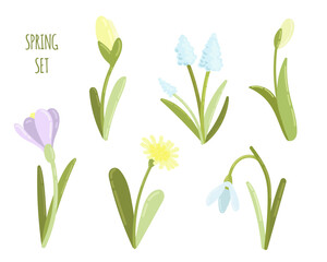 Fototapeta na wymiar Vector set with primroses and spring flowers. The work is done in delicate pastel colors, suitable for any of your designs and decorations. For stickers, business cards, cards, invitations, greetings