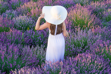 teenage girl at lavender flowers in garden. teen girl in white dress walking through lavender flowers. lovely girl posing in lavender flowers. beautiful girl in lavender field surrounded by flowers