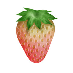 Strawberry watercolor