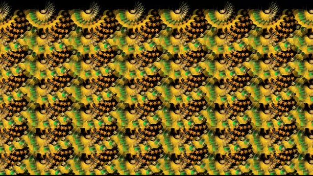 Fabric print design  wallpaper sample