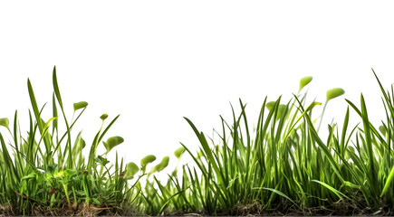 Fototapeta premium Fresh green grass side view, generative ai generated