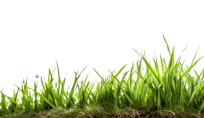 Obraz premium Green grass template, generative ai generated