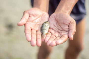 Between two wet hands is a small fish