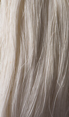 Naklejka premium Yarn line , raw material for cotton background.