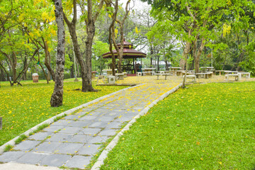 Beautiful landscaping in Chatuchak Park, Bangkok, Thailand