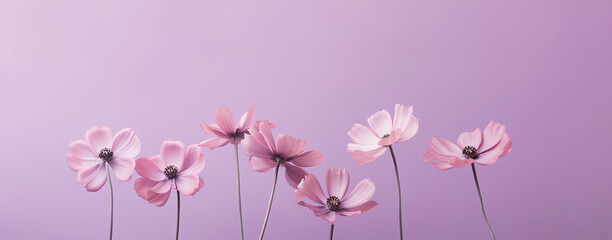 Fototapeta premium Wild spring and summer flowers on a pastel purple background. Generative AI