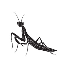 grasshopper icon