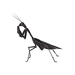 grasshopper icon