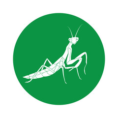 grasshopper icon