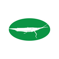 grasshopper icon
