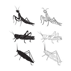 grasshopper icon