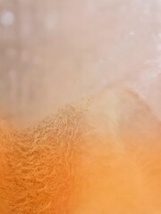 Orange and white feathers, blurred, gradient, for decoration