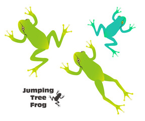 ジャンプするアマガエルのイラスト素材 ベクター 白バック 貼り付く