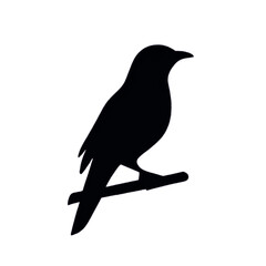 Fototapeta premium bird on a branch PNG art