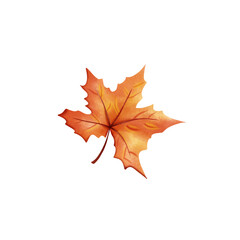 Maple leaf, festival, thanksgiving day, hand draw, element, national symbol,