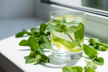 Immunity support water with mint and lemon on window sill and fresh mint leaves around. Herbal vitamin drink. Homemade antioxidant water.