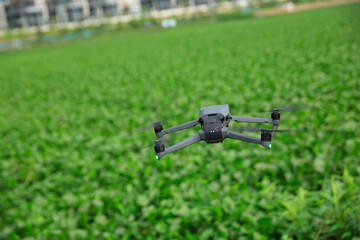 Flying drone taking photo of green water hyacinth in pond