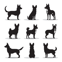 Chihuahua small dog vector icons and silhouettes. Set of illustrations in different poses.