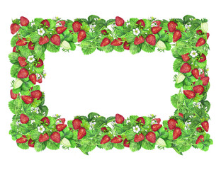 Frame banner from bushes of ripe strawberries with green leaves and white flowers. Watercolor illustration isolated on transparent background.