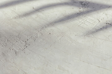 The shadow of the leaves on the wall with the texture of the plaster, gray color with space for text, free, empty space.
