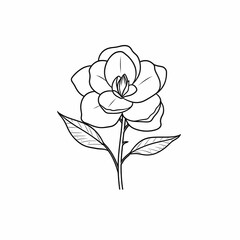Single Gardenia Flower Line Art Illustration