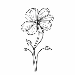 Continuous Line Art Of Flower Illustration