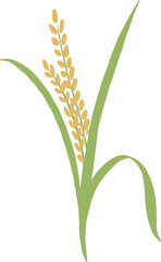 








Rice Ear, Rice, Straw, Leaves, Agriculture, Grass, Plant, Rice Ear, Crop,