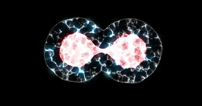 Cells division process under a microscope, isolated on black background with alpha channel