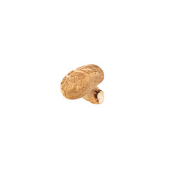 Shiitake mushroom cutout, Png file.
